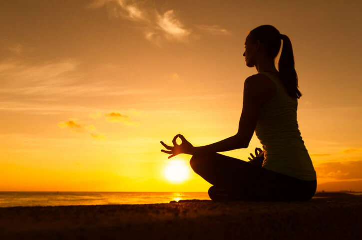 Meditation & Wellness